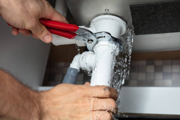 Best Carpet water damage restoration  in Atwater, MN