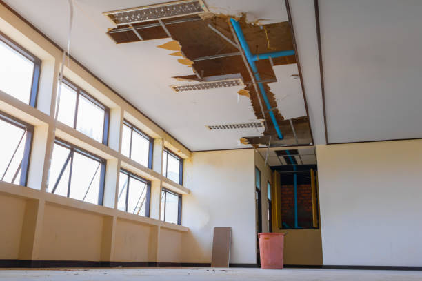 Best Fire Damage Restoration  in Atwater, MN