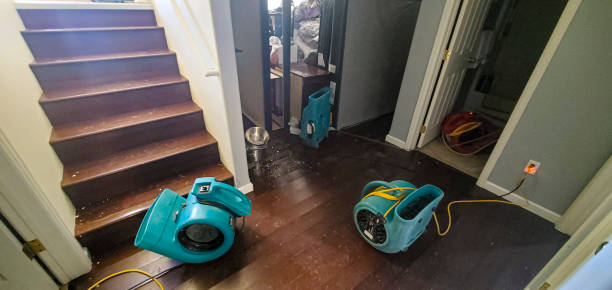 Best 24/7 water damage repair  in Atwater, MN