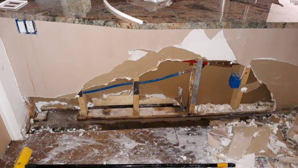 Best Flood damage cleanup  in Atwater, MN