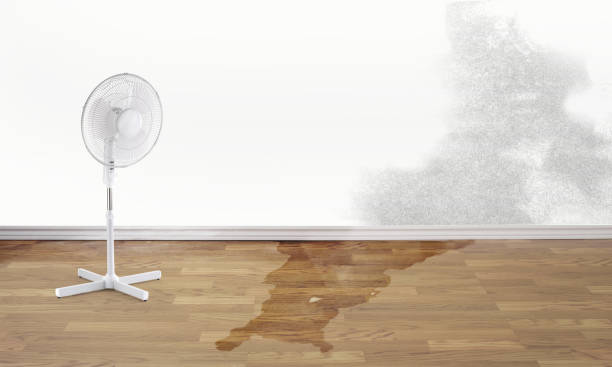 Best Fire Damage Restoration  in Atwater, MN
