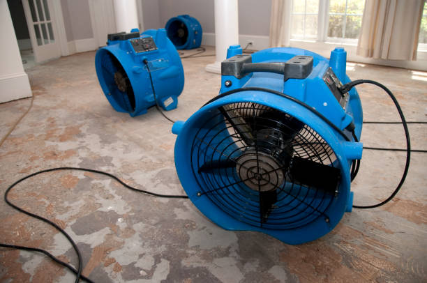 Best Commercial water damage restoration  in Atwater, MN