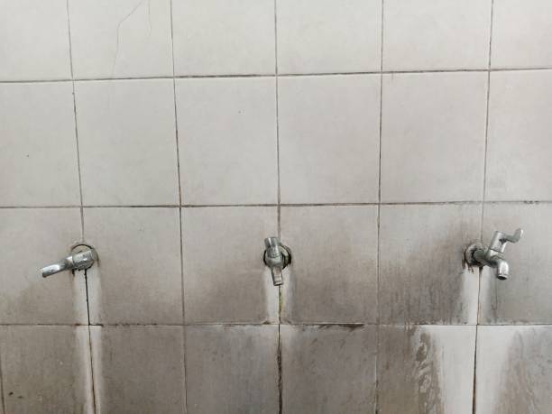 Best Flood restoration services  in Atwater, MN