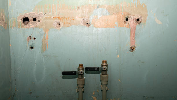 Best Water damage restoration near me  in Atwater, MN