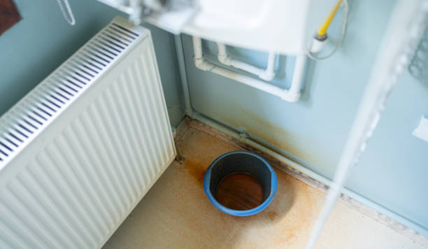 Best Water damage restoration services  in Atwater, MN