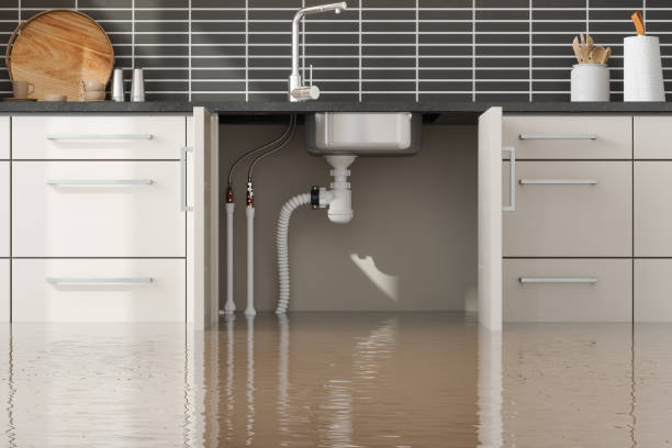 Best Professional water damage repair  in Atwater, MN